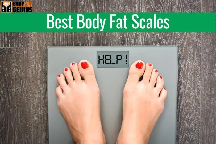 Best Body Fat Scales (1)