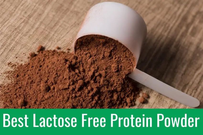 Best Lactose Free Protein Powder