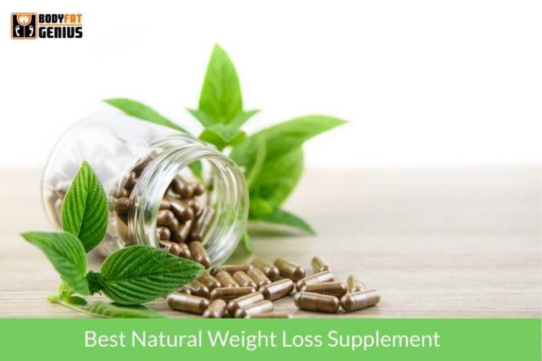 Balance High Accuracy Digital Body Fat Scale 2022 Review