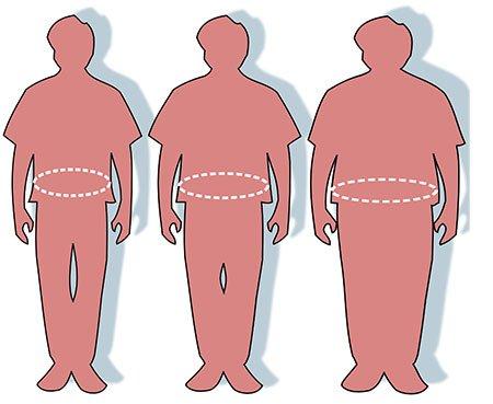 Drawing of three different body fat types