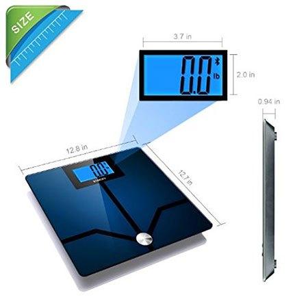 etekcity scale sizing and proportions