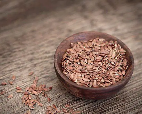 flax seeds weight loss