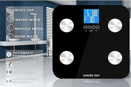 gowise usa scale manual