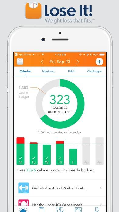 Lose It! Bluetooth Body Fat Scale by Health o Meter for Iphone ,Compatible:  iPhone 4S, 5, 5C, 5S ; iPod Touch-5th gen ; iPad Mini, 3rd gen, 4th gen :  : Health