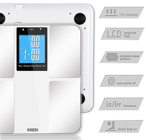 Insen-precision scale features chart