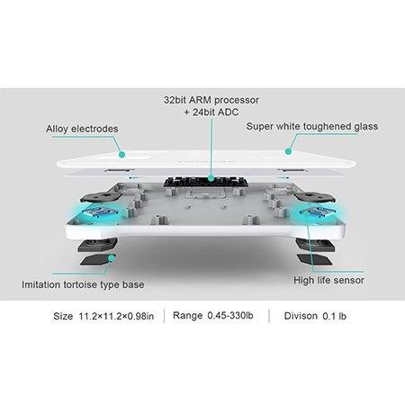 Processor and sensors on yolanda's body fat scale